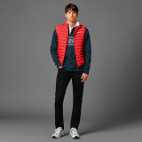 Chaleco unisex acolchado - Red Bull Racing - Banango Shop