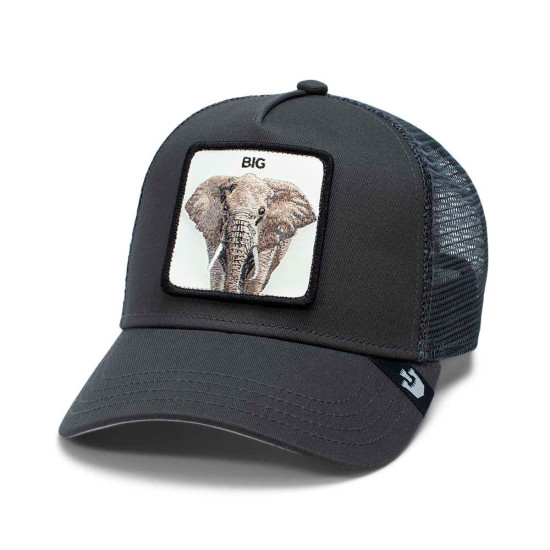 GORRA THE BIG ELEPHANT - Goorin Bros - Banango Shop