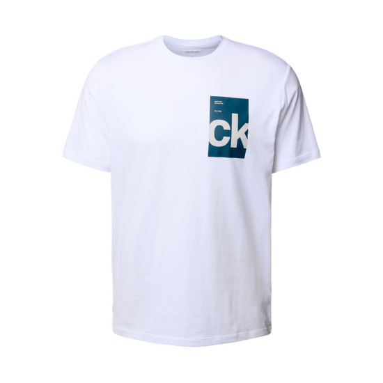 CAMISETA BOX GRAPHIC - Calvin Klein - Banango Shop
