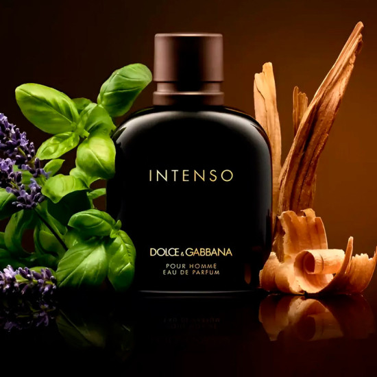 Pour Homme Intenso - DOLCE & GABBANA - Banango Shop