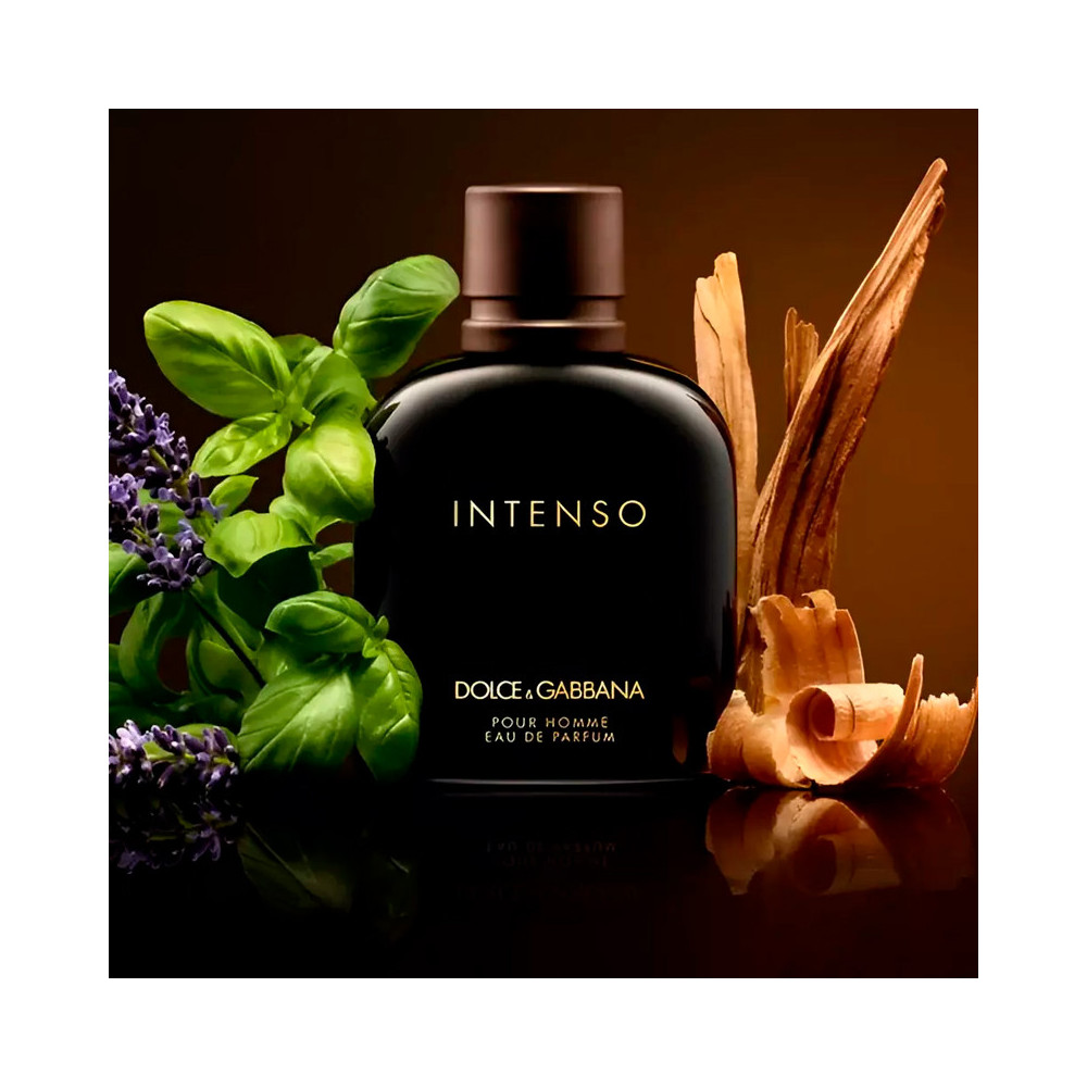 Pour Homme Intenso - DOLCE & GABBANA - Banango Shop