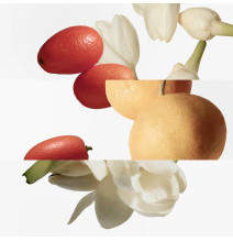 Le Jardin De Monsieur Li Eau de Toilette - HERMÈS - Banango Shop