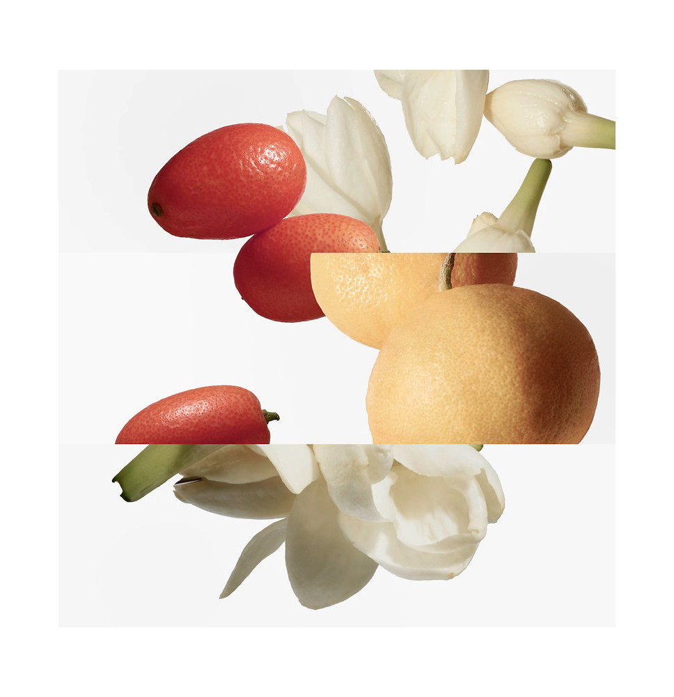 Le Jardin De Monsieur Li Eau de Toilette - HERMÈS - Banango Shop