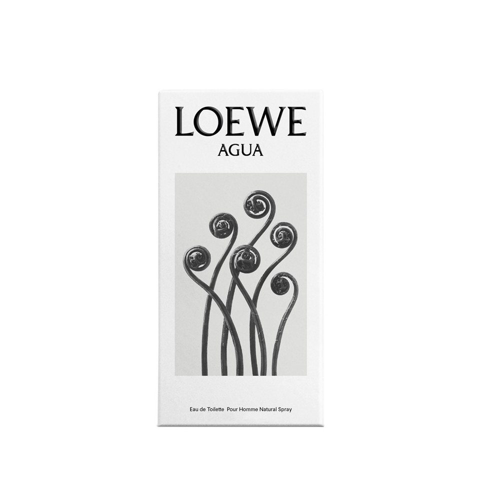 Agua - LOEWE - Banango Shop