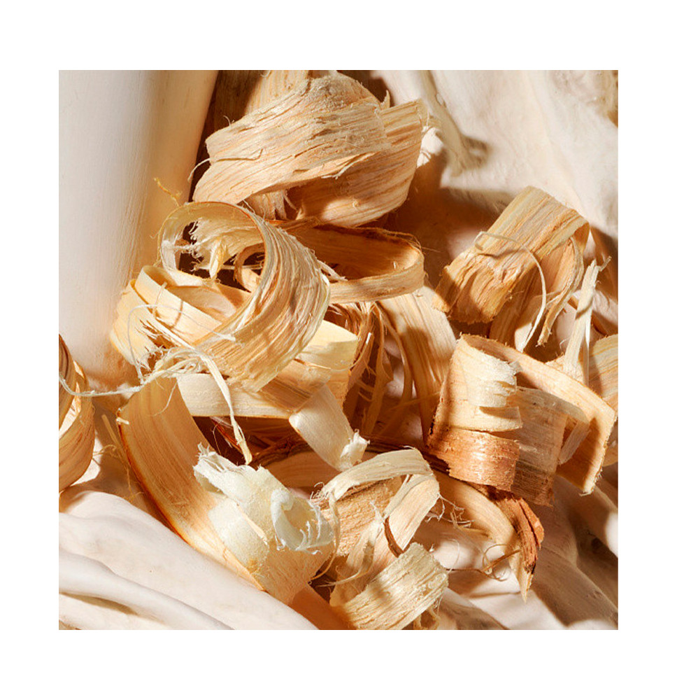 Dolce Blue Jasmine - DOLCE & GABBANA - Banango Shop