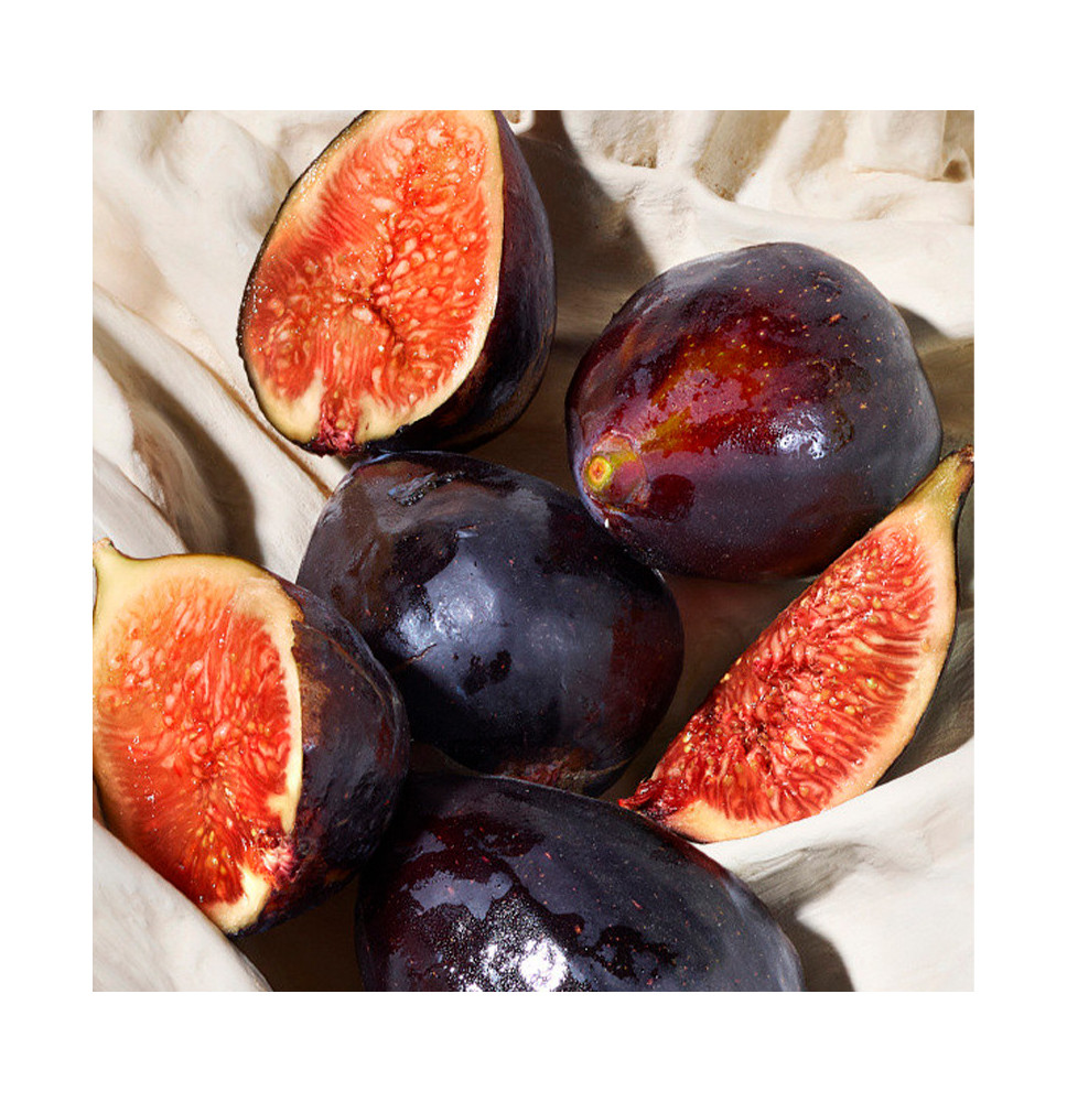 Dolce Blue Jasmine - DOLCE & GABBANA - Banango Shop