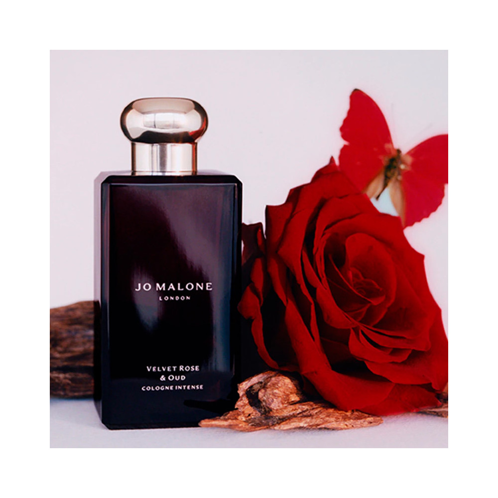 Velvet Rose & Oud - JO MALONE LONDON - Banango Shop