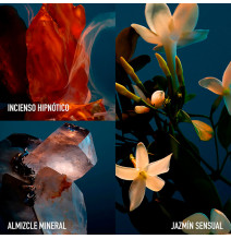 Fame Parfum - PACO RABANNE - Banango Shop