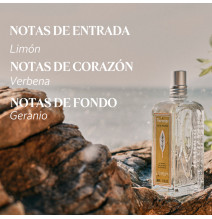 Verbena - L'Occitane - Banango Shop