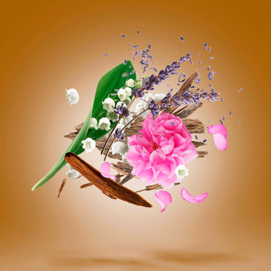 Alexandria II Extrait Oil - XERJOFF - Banango Shop