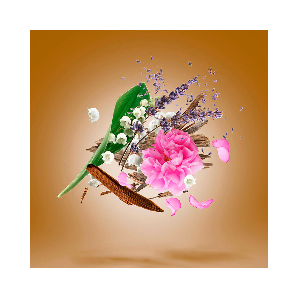 Alexandria II Extrait Oil - XERJOFF - Banango Shop