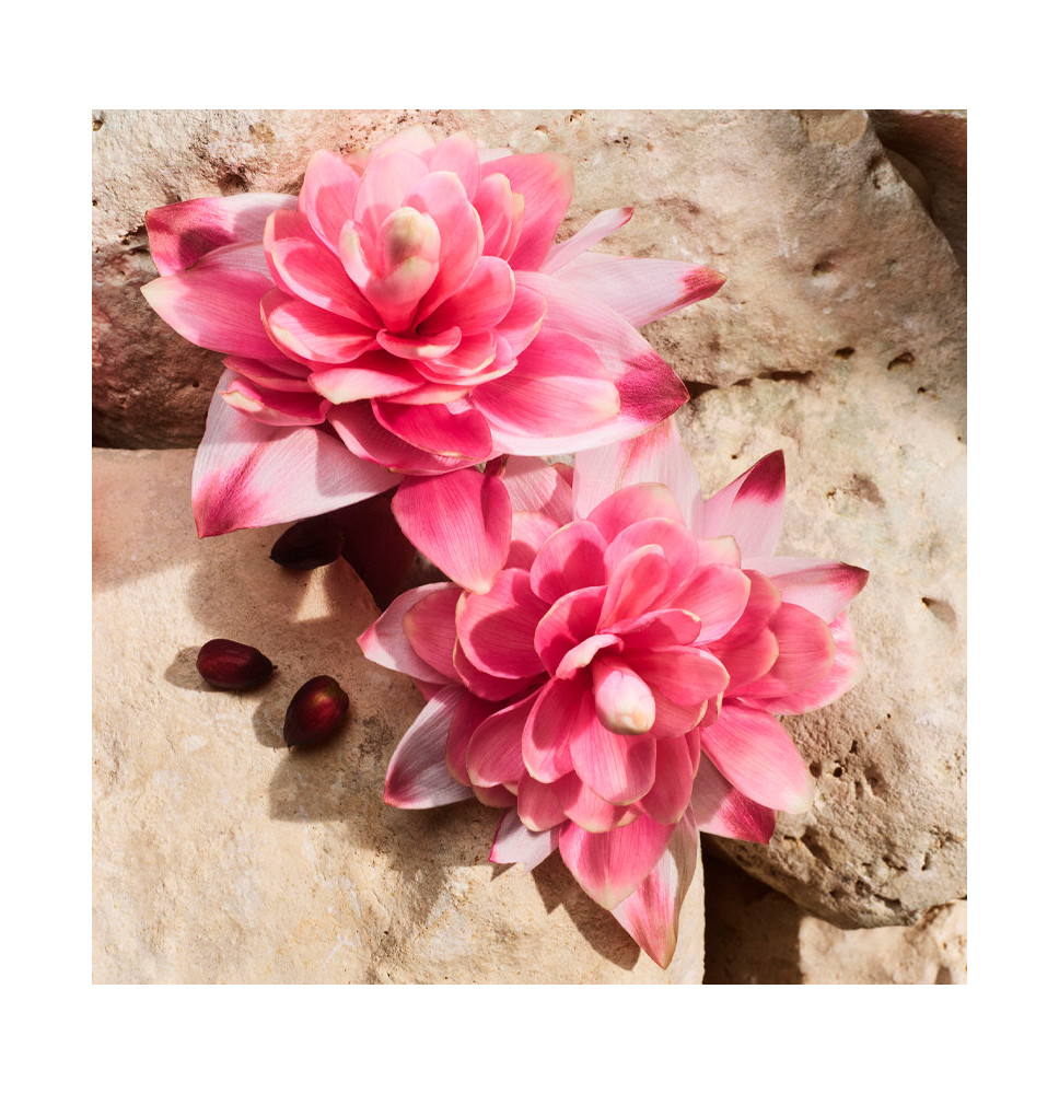 Light Blue Capri In Love - DOLCE & GABBANA - Banango Shop