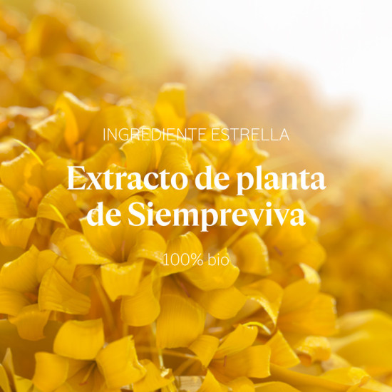 Contorno de Ojos Preciosa Siempreviva - L'Occitane - Banango Shop