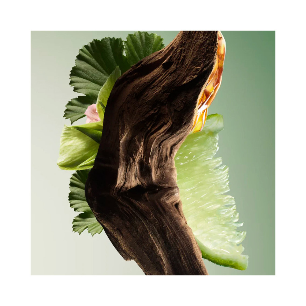 Paradigme Eau de Parfum - PRADA - Banango Shop