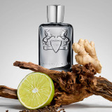 Castley - PARFUMS DE MARLY - Banango Shop