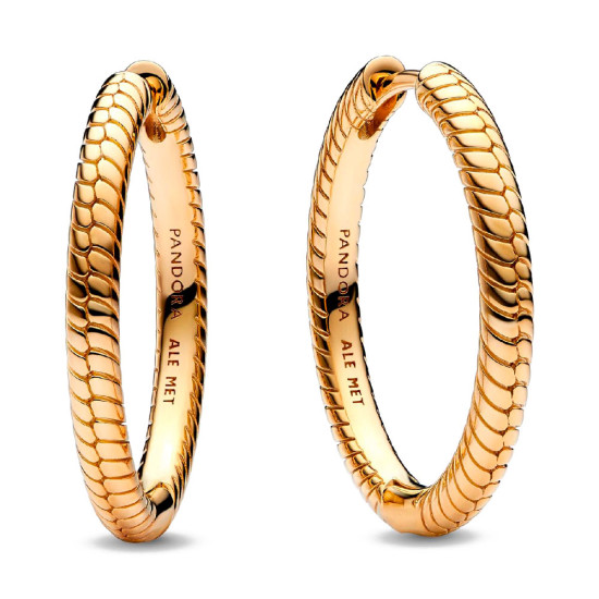 Pendientes de Aro Pandora Moments 269532C00 - Pandora - Banango Shop