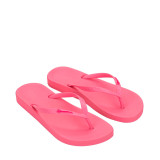 Chanclas Anatomic Colors Fem - Ipanema - Banango Shop